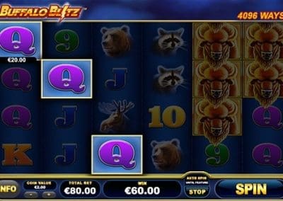 Buffalo Blitz Game review