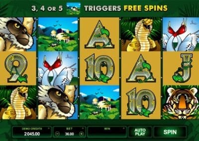 adventure palace slot2