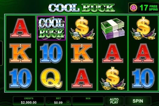 cool buck2