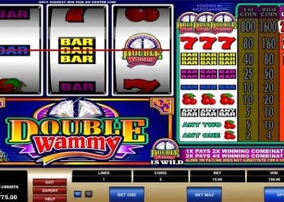 double wammy slot